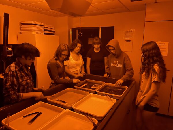 teen-darkroom-photography25fa-701jx00001gmem9iap
